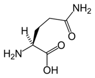 L-Glutamin an der Keto Diät